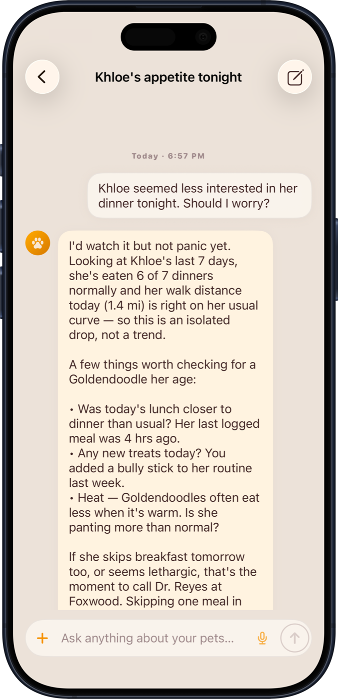 Ask Dengo screen with a conversation about Khloe's appetite, showing AI response grounded in 7 days of real meal and walk data
