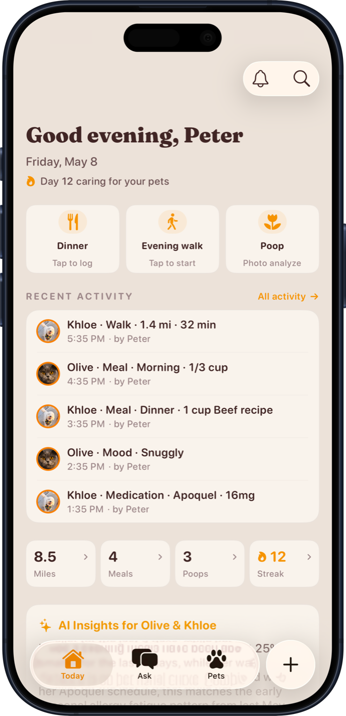 Dengo Today screen showing daily care quick actions, recent activity for Khloe and Olive, and stats